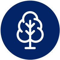 tree icon